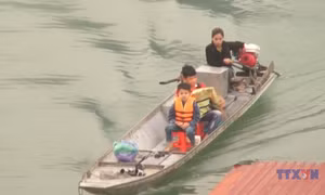 Vượt sông Đà gieo mầm con chữ