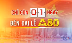 Đếm ngược A80 ngày 1/9/2025