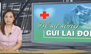 Tin tức TV: Để sự sống gửi lại đời