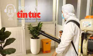 Bác sĩ ơi: Phòng sốt xuất huyết, người dân có nên tự phun hóa chất diệt muỗi?