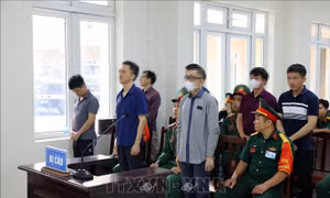 Phúc thẩm vụ Việt Á liên quan đến Học viện Quân y