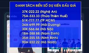 Tiếp tục đấu giá nhiều biển số xe vào ngày 21 và 22/9