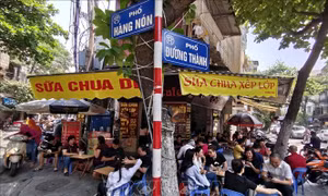 Hà Nội lên lộ trình thu phí vỉa hè