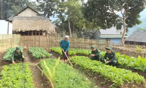Mô hình 'Bản sáng vùng biên' góp phần giảm nghèo tại Thanh Hóa