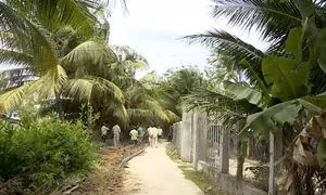 Nỗ lực cấp nước sạch trong mùa hạn mặn