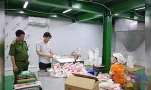Nâng cao trách nhiệm kiểm tra, giám sát an toàn thực phẩm