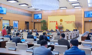 Bổ sung chế tài với người đứng đầu trong xây dựng, ban hành và thi hành pháp luật