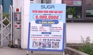 Đào tạo theo đơn đặt hàng: 'Bốn nhà' cùng hưởng lợi