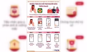 Cách tra cứu thông tin và thay đổi khu vực bỏ phiếu trên VNeID