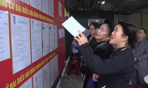 Cao Bằng: Tỷ lệ cử tri tham gia bầu cử đạt trên 99,93%