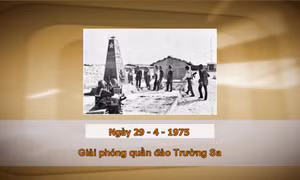 Khoảnh khắc & sự kiện ngày 29/4