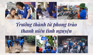 Tin tức TV: Trưởng thành từ phong trào thanh niên tình nguyện