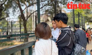 Tết Dương lịch ấm áp
