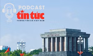 Vi vu Việt Nam: Khám phá một Hà Nội yên bình và thơ mộng những ngày cuối năm