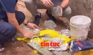 Tin nóng trong nước sáng 10/5