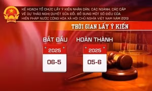 Hình thức tổ chức lấy ý kiến sửa đổi Hiến pháp 2013