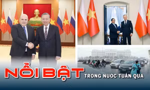 Tin tức TV Nổi bật tuần qua: Diễn đàn Quốc gia phát triển doanh nghiệp công nghệ số; Nghị định 168/CP nâng cao ý thức tham gia giao thông