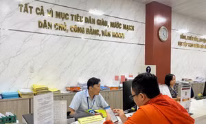 TP Hồ Chí Minh: Sẵn sàng vận hành mô hình chính quyền hai cấp từ ngày 1/7