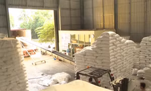 Thái Lan tìm hợp tác để ổn định giá gạo