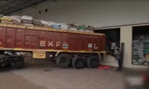 Hàng tồn kho cao kỷ lục, Ấn Độ dỡ lệnh cấm xuất khẩu gạo 100% tấm