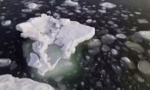 Mực nước biển dâng cao kỷ lục năm 2024: NASA cảnh báo nguy cơ nghiêm trọng