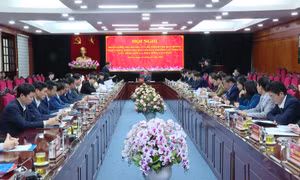 Triển khai Quyết định kiểm tra đối với các tỉnh Sơn La, Điện Biên, Lai Châu​