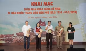 Tuần phim 70 năm Chiến thắng Điện Biên Phủ