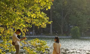 Mùa thu trong lòng phố