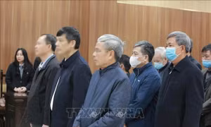 Tuyên án cựu Bí thư Tỉnh ủy Thanh Hóa Trịnh Văn Chiến 30 tháng tù treo