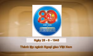 Khoảnh khắc & sự kiện ngày 28/8