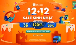 Người Việt chi gần 14 tỷ USD mua sắm online