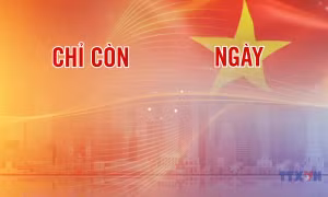 Đếm ngược A80 ngày 20/8/2025