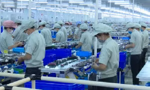 Việt Nam: Điểm đến ưa thích của nhiều tập đoàn đa quốc gia