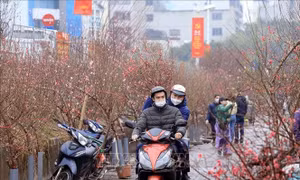  Bắc Bộ rét đậm, vùng núi cao có khả năng xảy ra băng giá