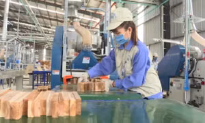 Sẽ có ưu đãi riêng cho doanh nghiệp sản xuất xanh