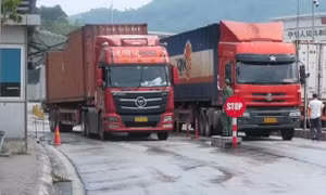 Nhiều cửa khẩu tạm dừng thông quan hàng hóa dịp Tết