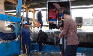  Ngư dân bội thu cuối năm