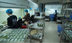 Đảm bảo nguồn lực cho phát triển khoa học công nghệ