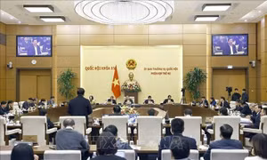 Ủy ban Thường vụ Quốc hội cho ý kiến về Dự án tuyến đường sắt Lào Cai - Hà Nội - Hải Phòng