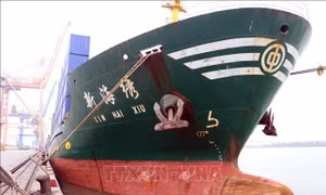 Khai trương tuyến dịch vụ Cảng Vịnh Bắc Bộ - Cảng Hải Phòng - Cảng Kolkat