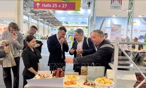 Việt Nam tham gia Fruit Logistica 2025 với quy mô lớn nhất từ trước đến nay