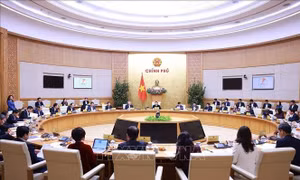 Triển khai ngay các nhiệm vụ sau Tết Nguyên đán
