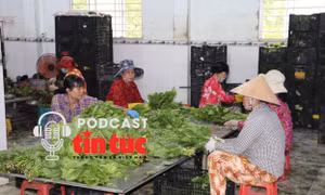 Tin nóng trong nước nghe nhanh sáng 21/11