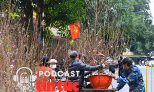 Tin nóng trong nước nghe nhanh sáng 25/11