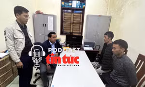 Tin nóng trong nước nghe nhanh sáng 10/12