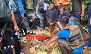 Tin nóng trong nước nghe nhanh sáng 1/12