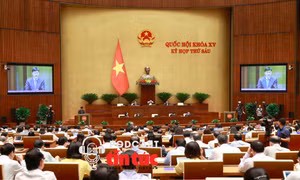 Tin nóng trong nước nghe nhanh sáng 6/11