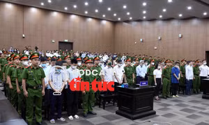 Tin nóng trong nước nghe nhanh sáng 5/12
