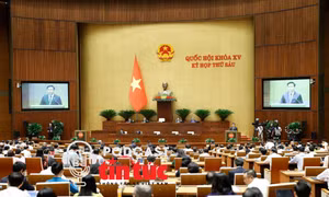 Tin nóng trong nước nghe nhanh sáng 7/11