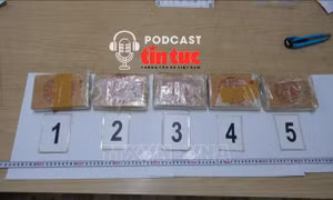 Tin nóng trong nước nghe nhanh sáng 1/7